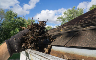 Gutter Cleaning Services